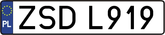 ZSDL919