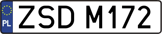 ZSDM172