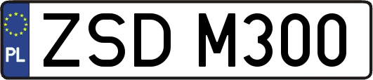 ZSDM300