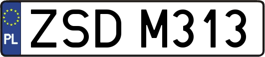 ZSDM313