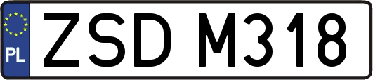 ZSDM318