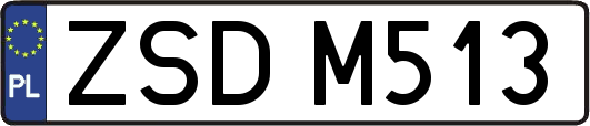 ZSDM513
