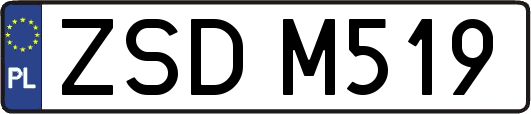 ZSDM519