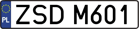 ZSDM601