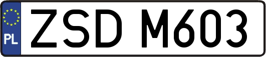 ZSDM603