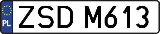 ZSDM613