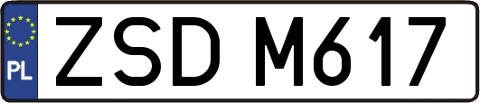 ZSDM617