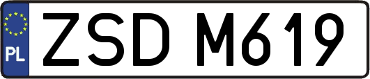 ZSDM619