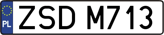 ZSDM713