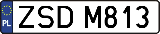 ZSDM813