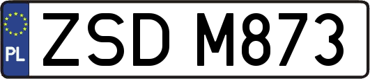 ZSDM873