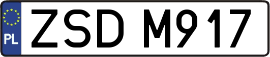 ZSDM917