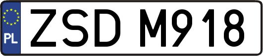 ZSDM918