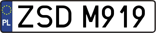 ZSDM919