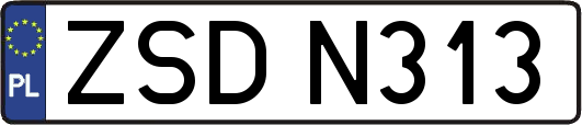 ZSDN313