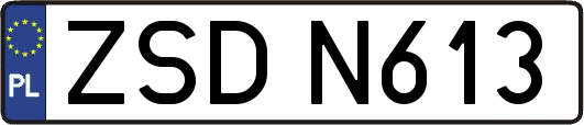 ZSDN613