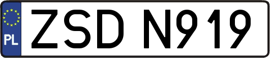 ZSDN919