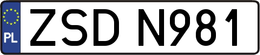 ZSDN981