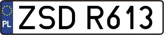 ZSDR613