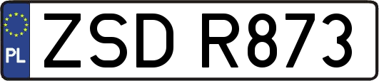 ZSDR873