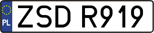 ZSDR919