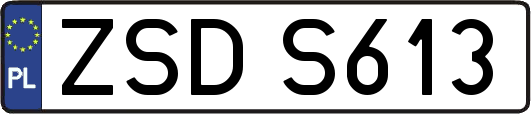 ZSDS613
