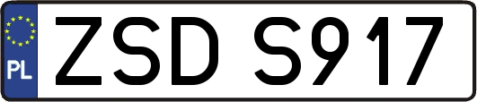 ZSDS917