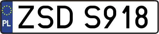ZSDS918