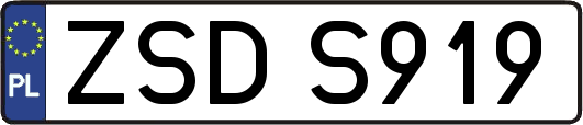 ZSDS919