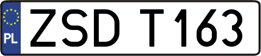 ZSDT163