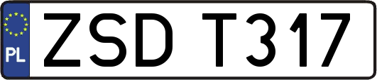 ZSDT317