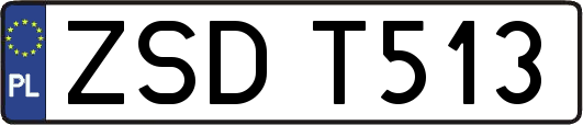 ZSDT513