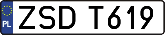 ZSDT619