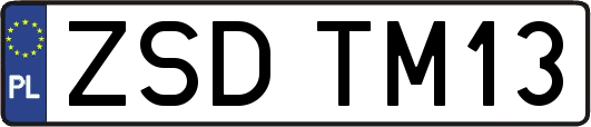 ZSDTM13