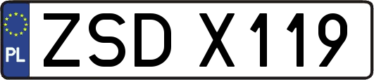 ZSDX119