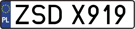 ZSDX919