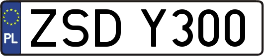 ZSDY300