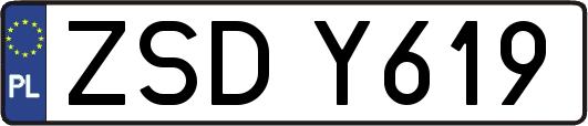 ZSDY619