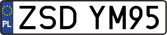 ZSDYM95