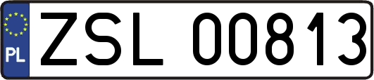 ZSL00813
