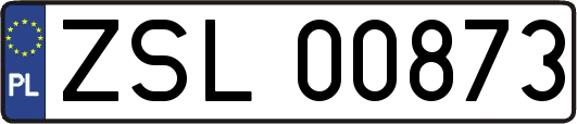 ZSL00873