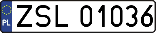ZSL01036