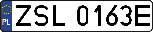 ZSL0163E