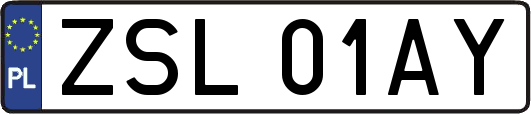ZSL01AY