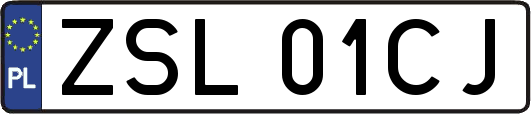 ZSL01CJ