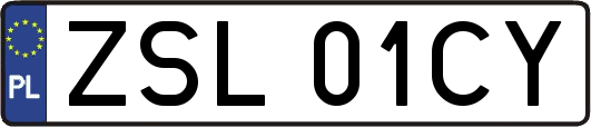 ZSL01CY