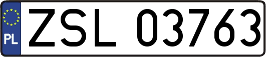 ZSL03763