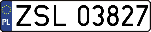 ZSL03827