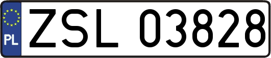 ZSL03828