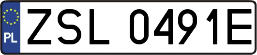 ZSL0491E